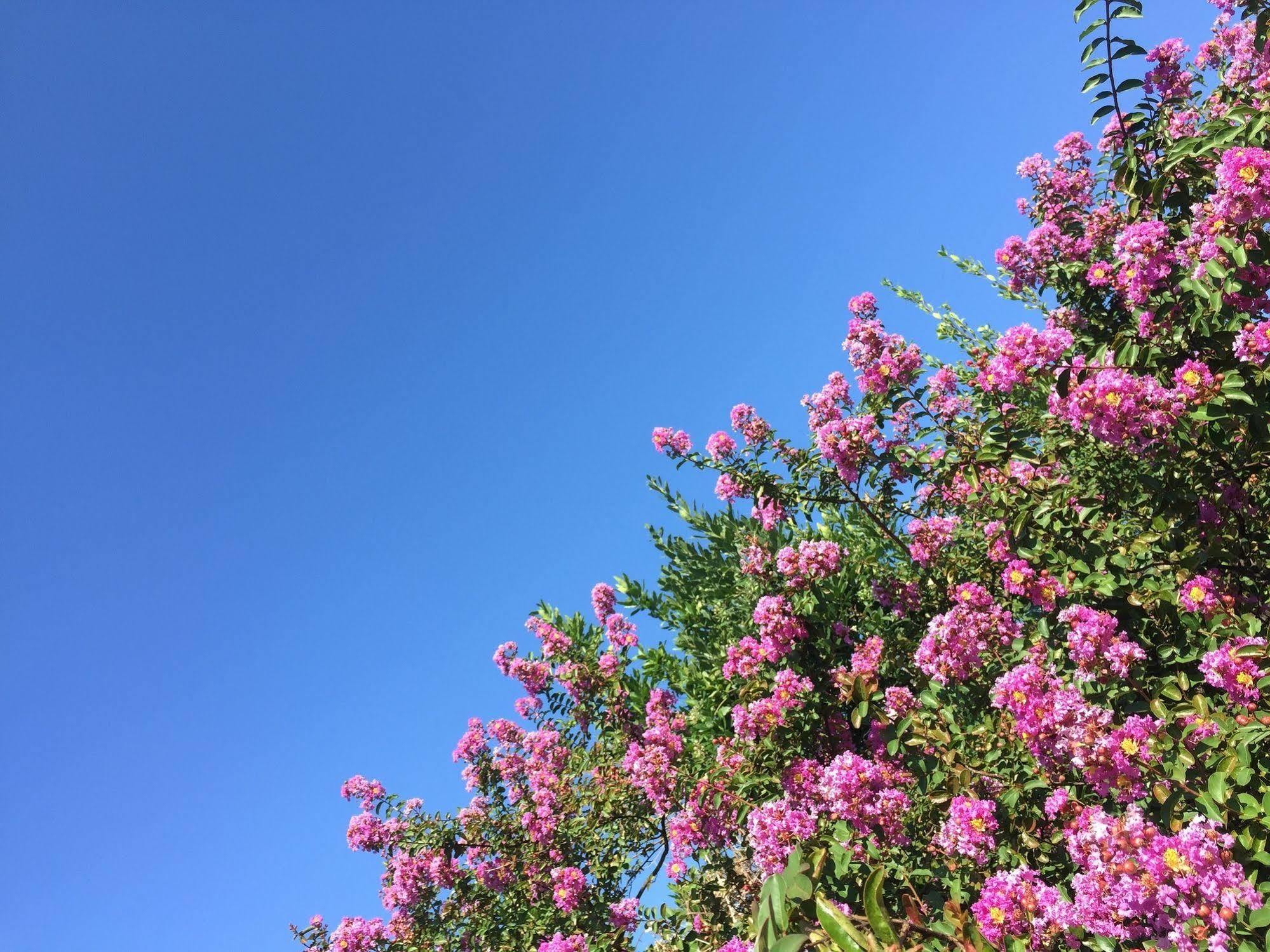 Il Fortino 蒙特马塞洛 外观 照片